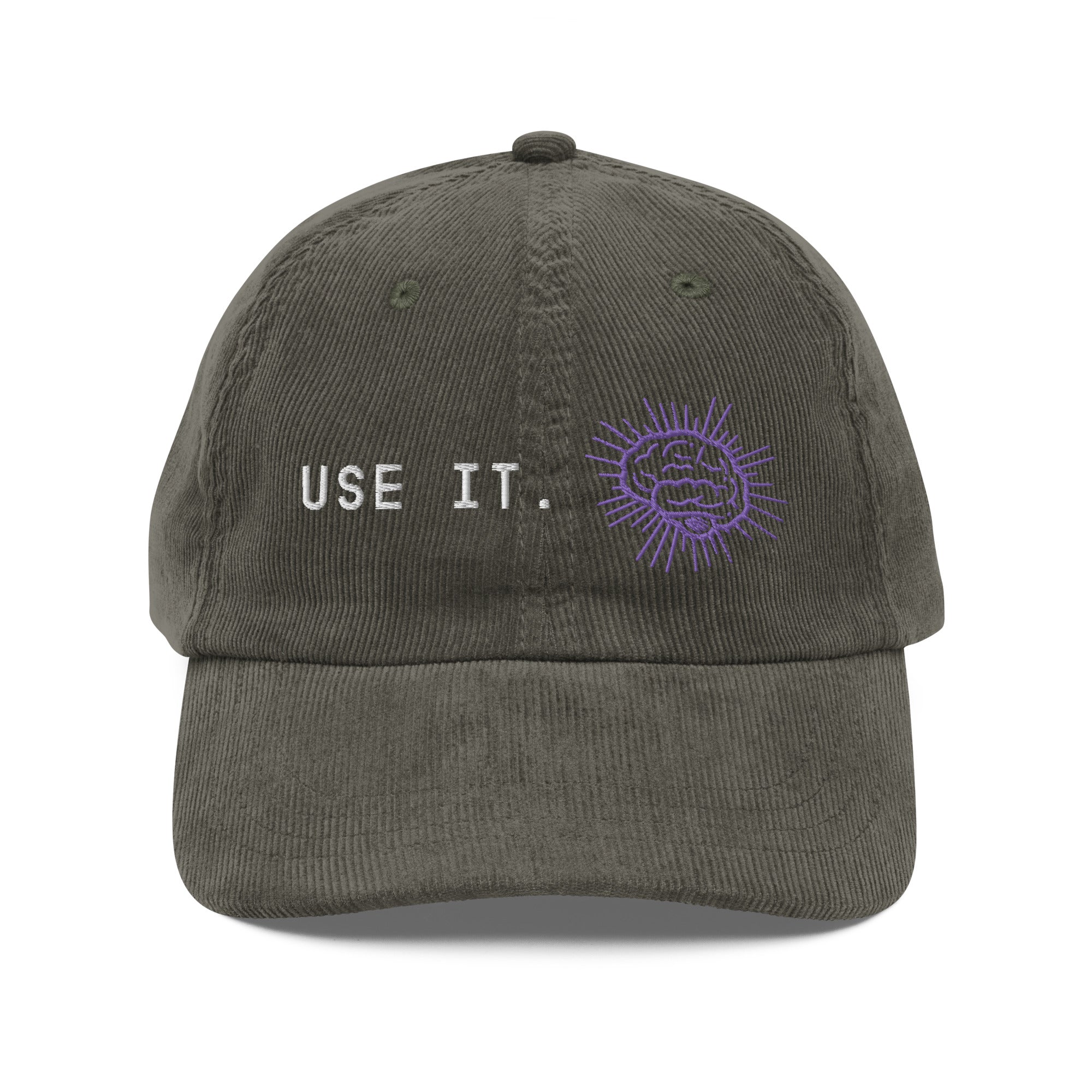 Use it corduroy cap
